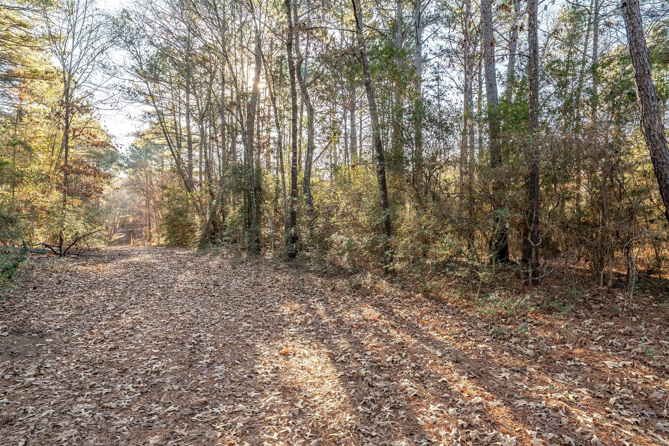 0000 Red Oak Road Marshall TX 75670