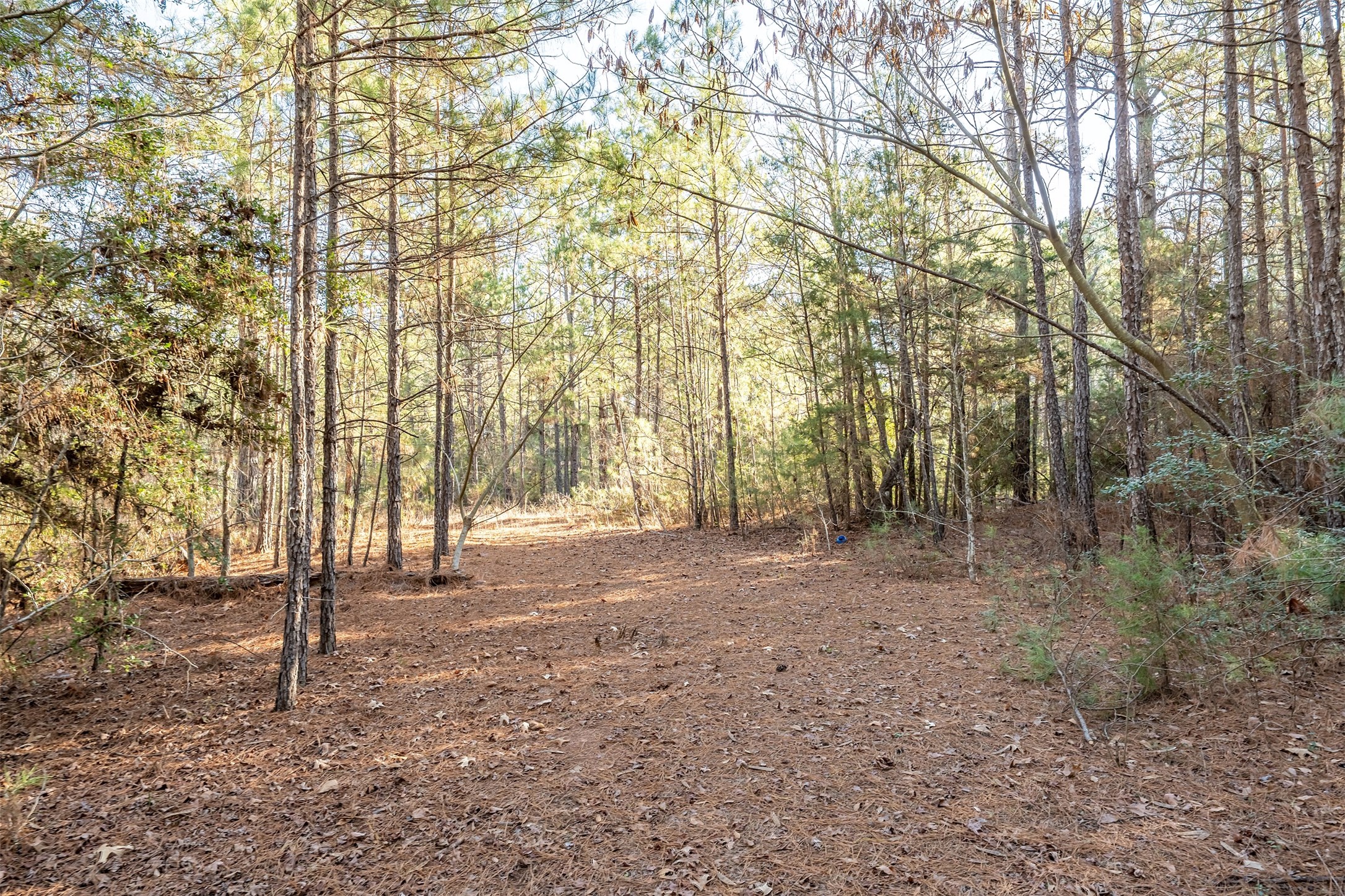 0000 Red Oak Road Marshall TX 75670