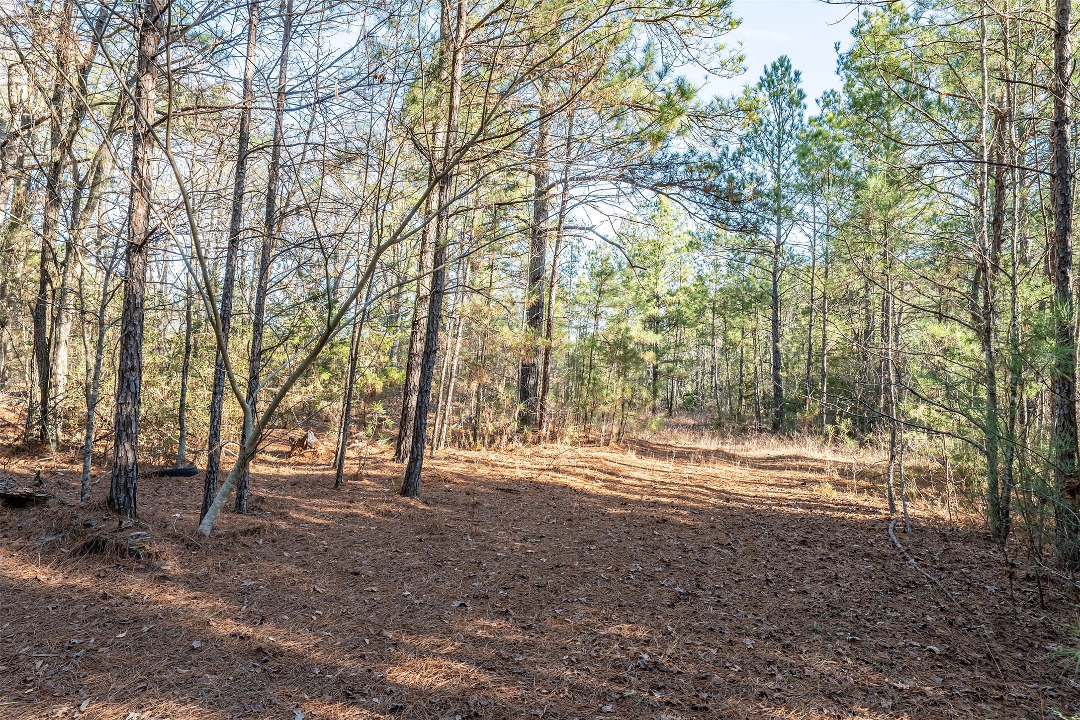 0000 Red Oak Road Marshall TX 75670