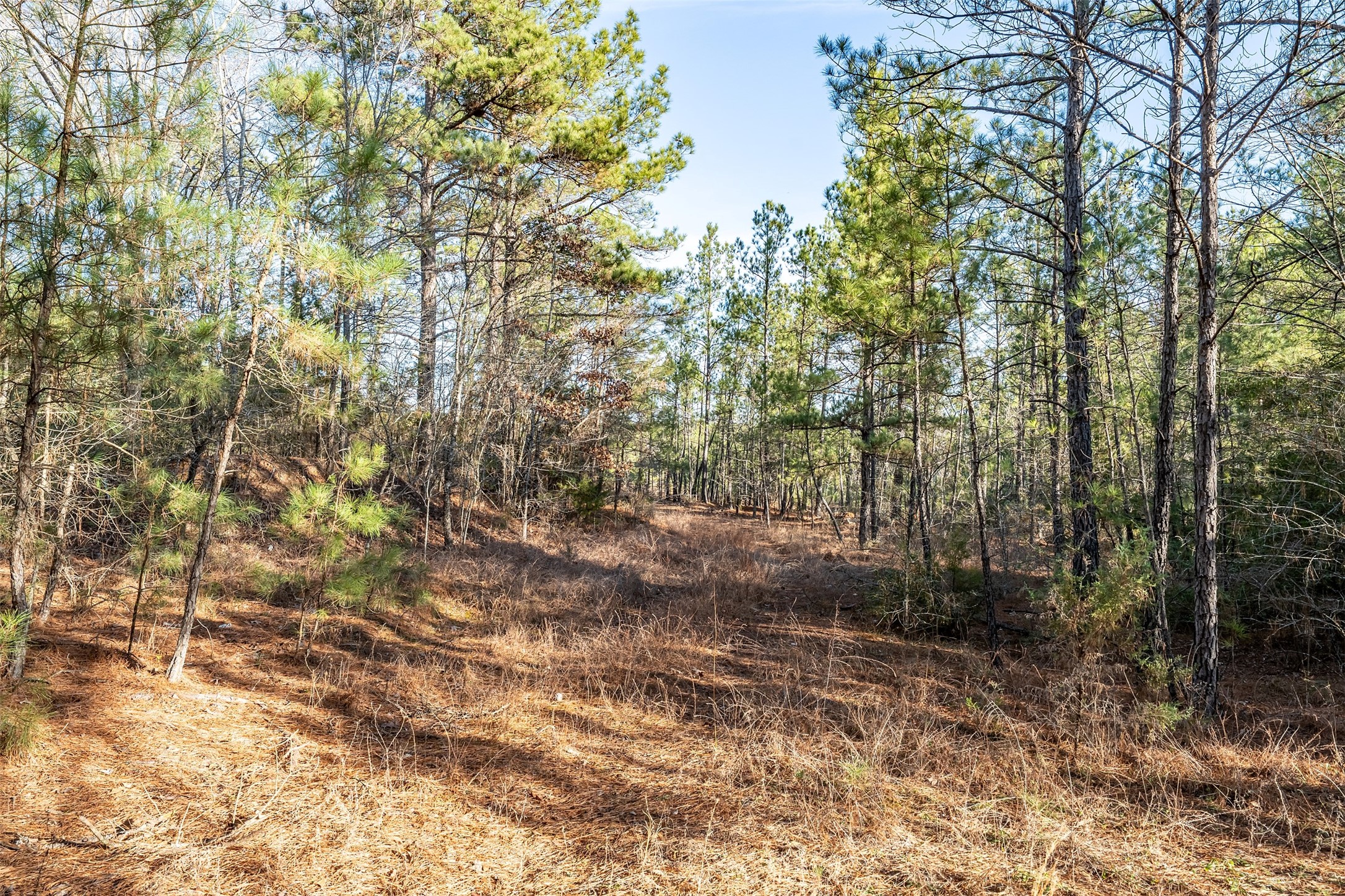 0000 Red Oak Road Marshall TX 75670