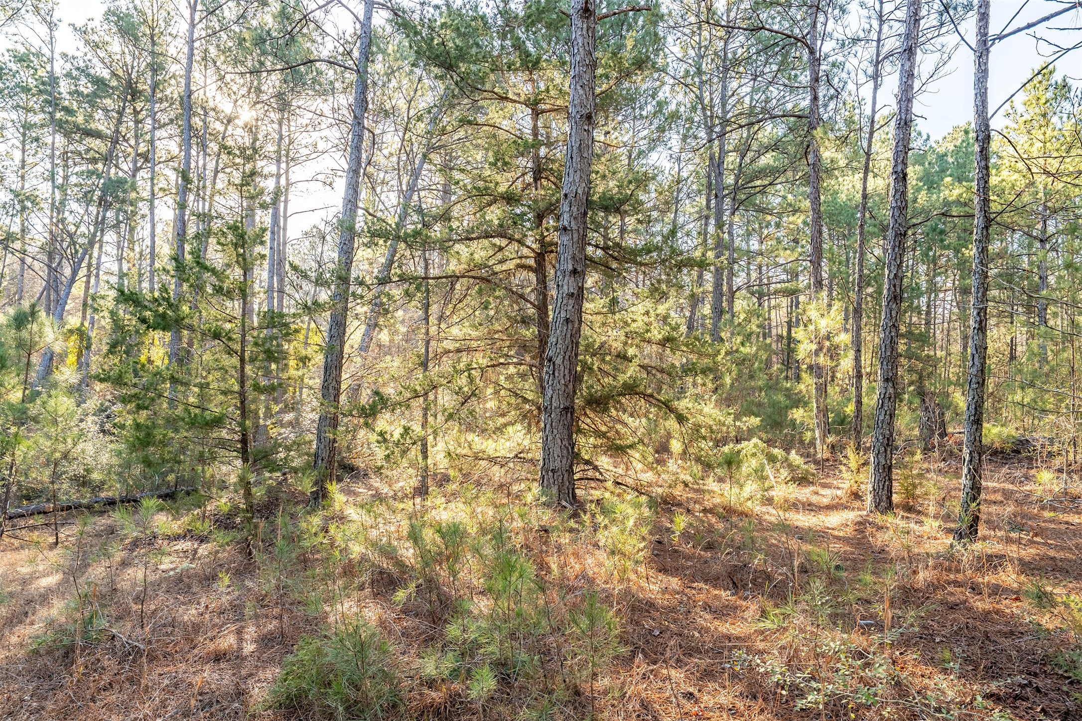 0000 Red Oak Road Marshall TX 75670