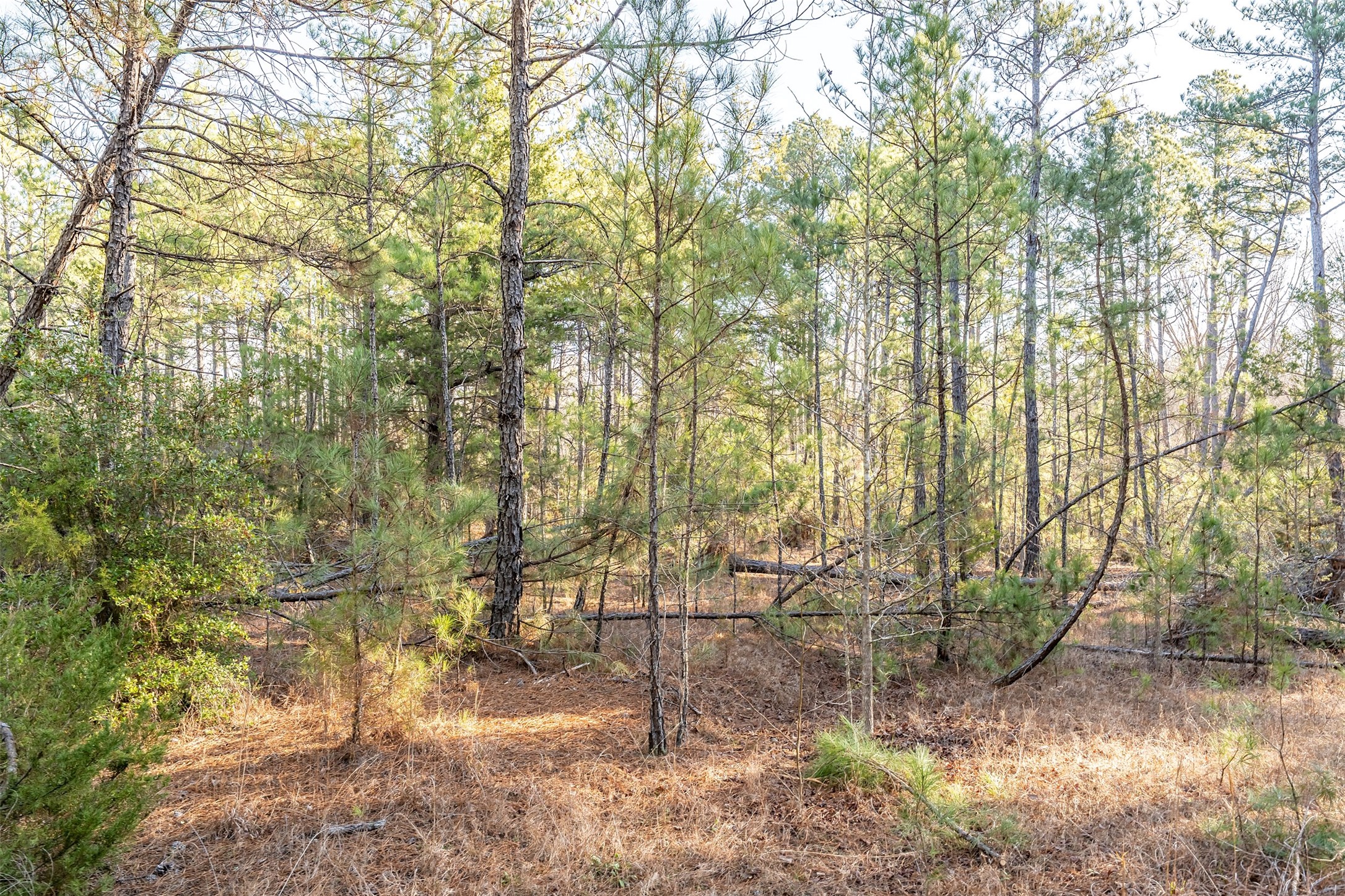 0000 Red Oak Road Marshall TX 75670