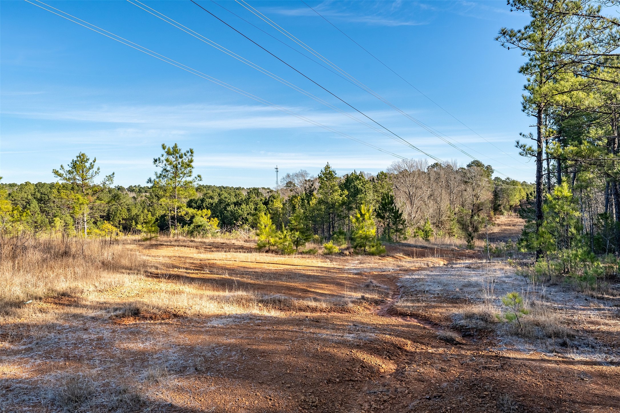 0000 Red Oak Road Marshall TX 75670