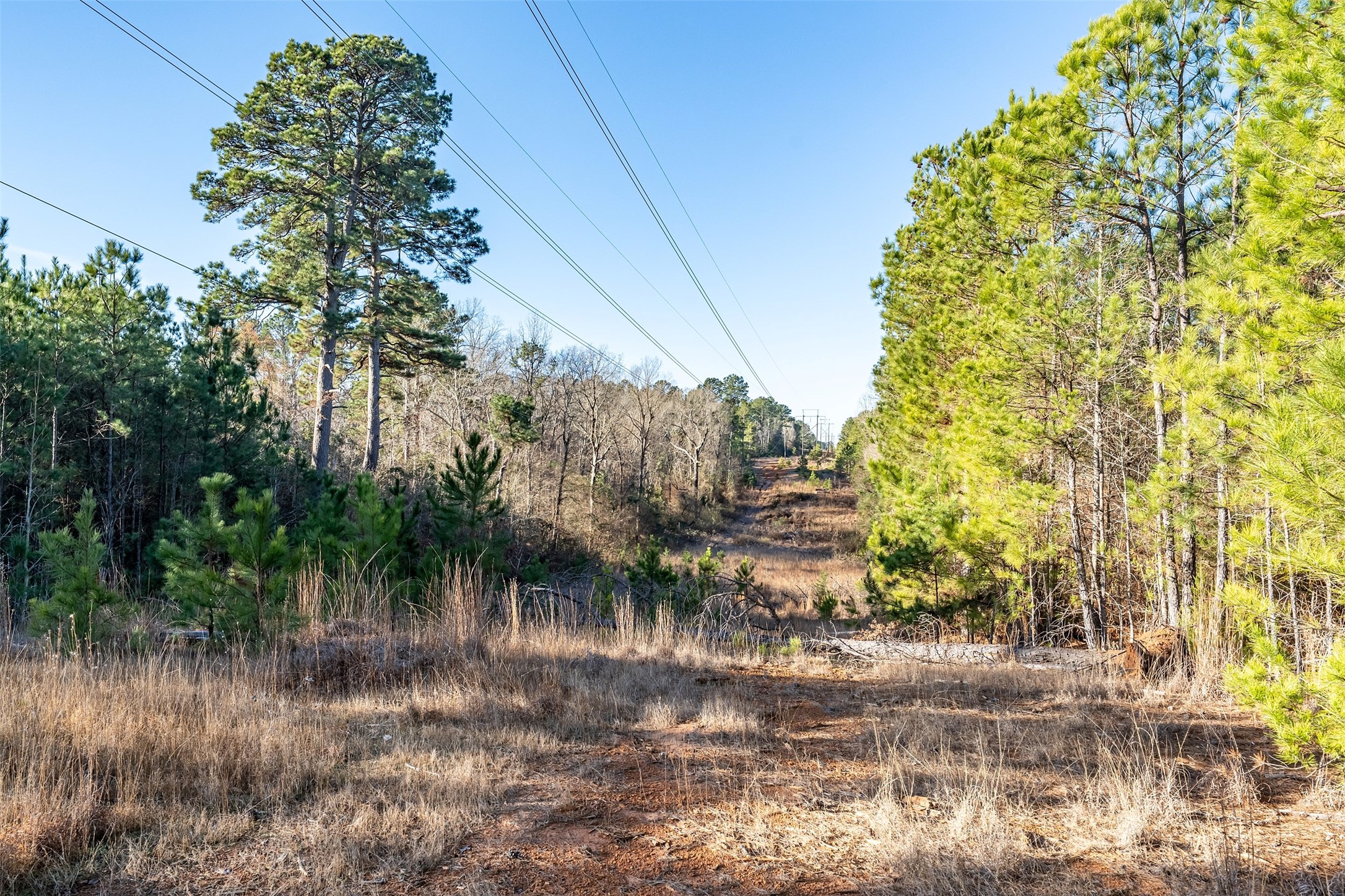 0000 Red Oak Road Marshall TX 75670