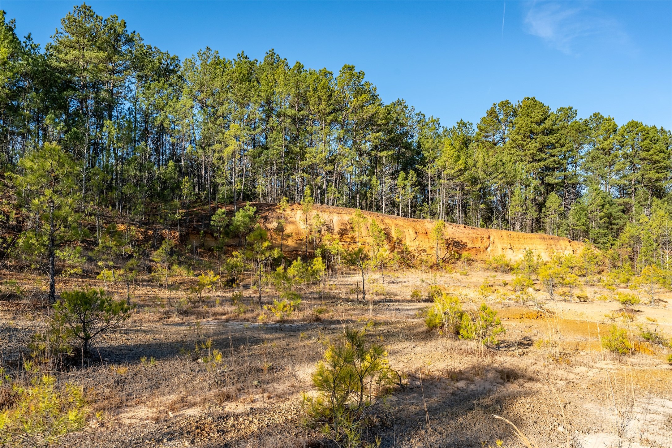 0000 Red Oak Road Marshall TX 75670