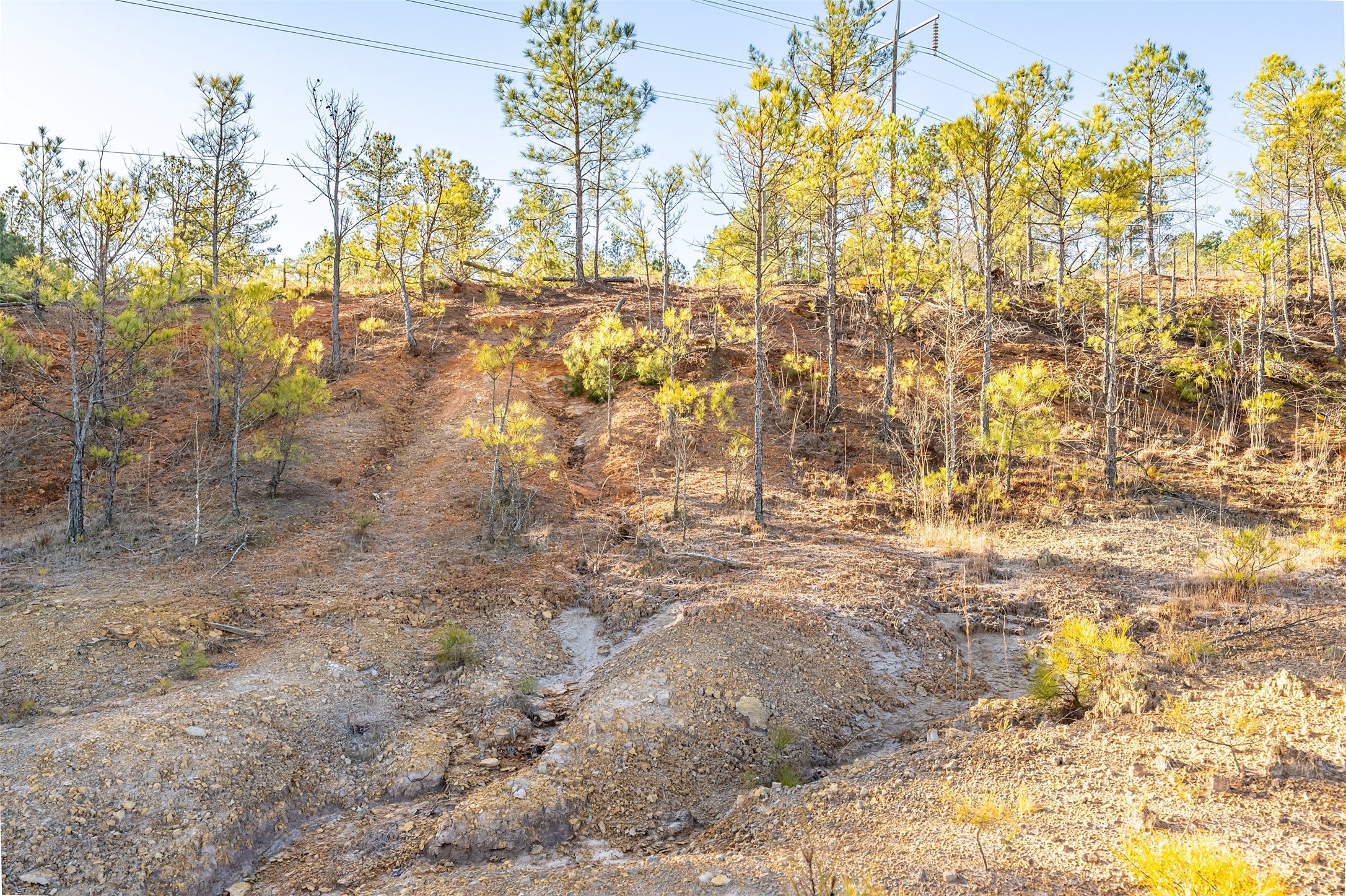 0000 Red Oak Road Marshall TX 75670