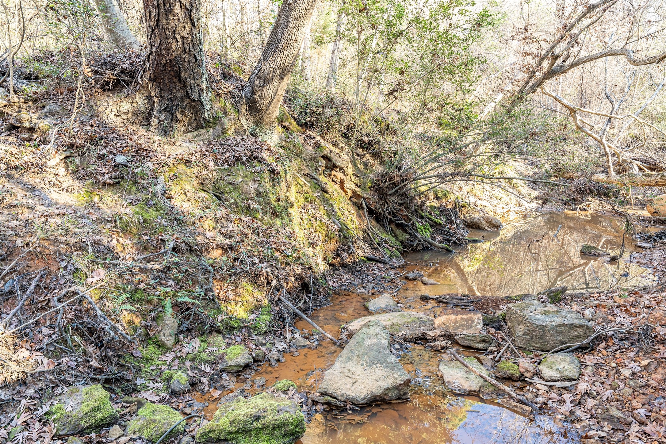 0000 Red Oak Road Marshall TX 75670