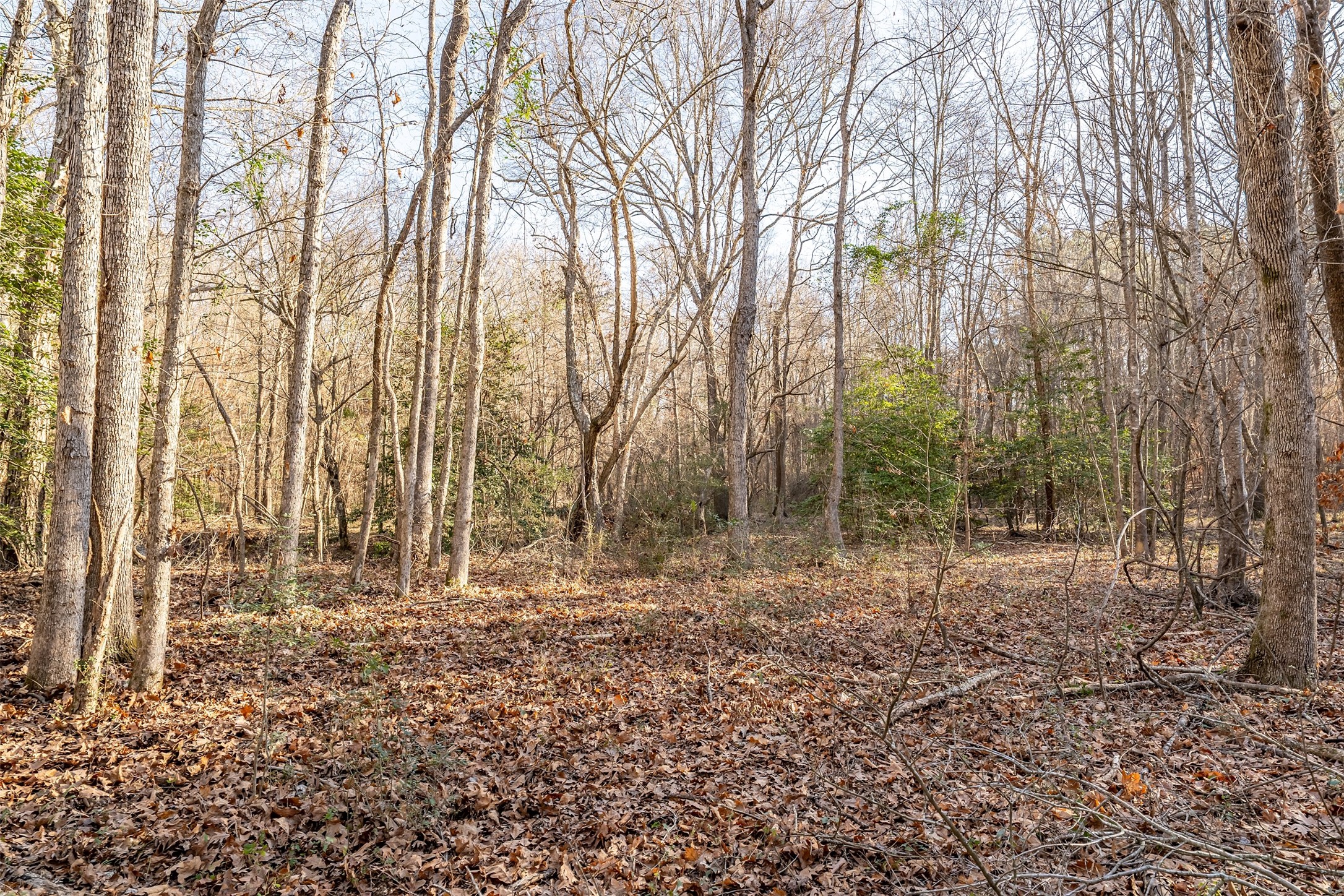 0000 Red Oak Road Marshall TX 75670