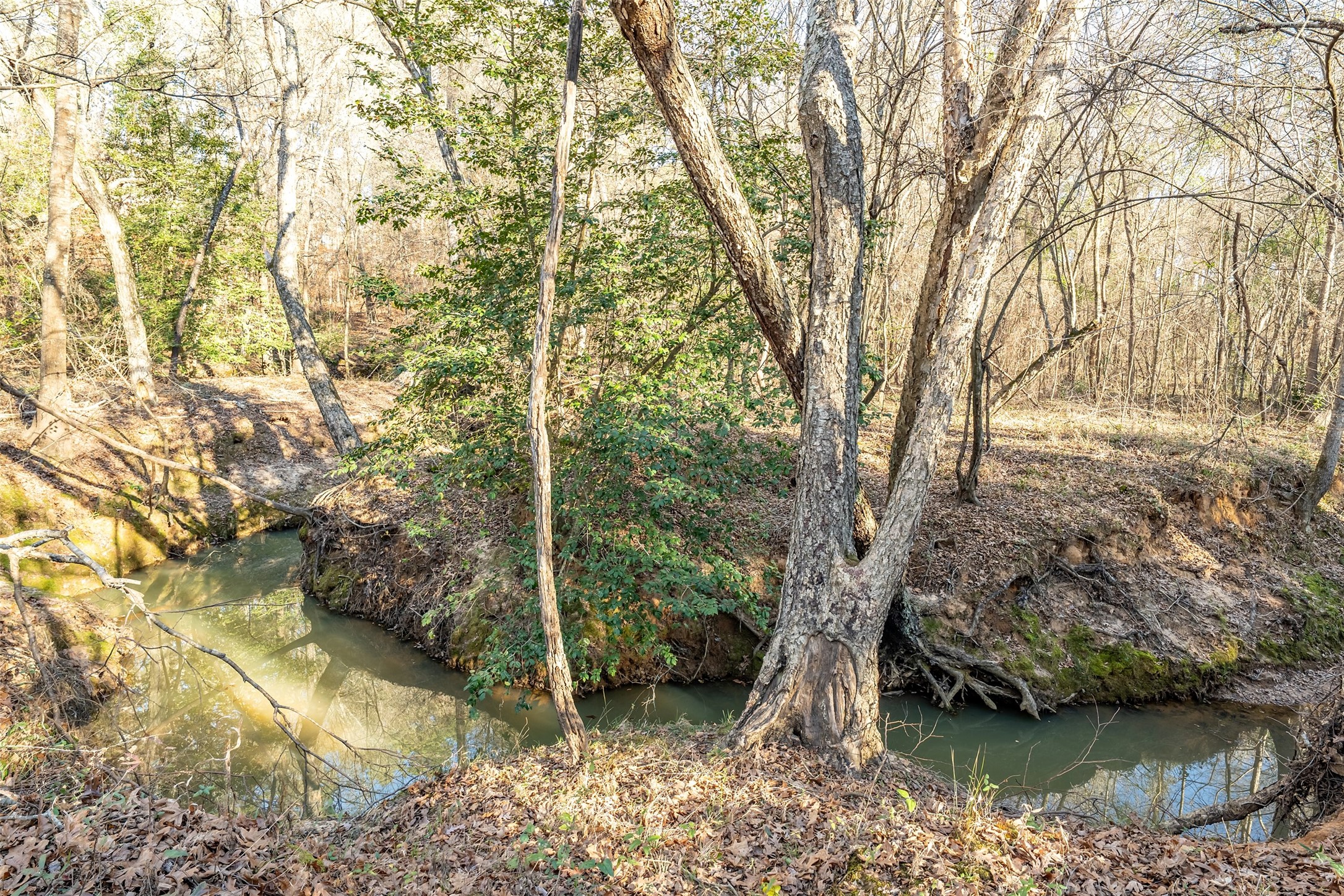 0000 Red Oak Road Marshall TX 75670
