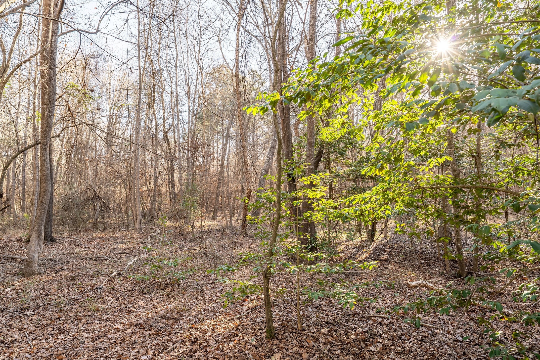 0000 Red Oak Road Marshall TX 75670