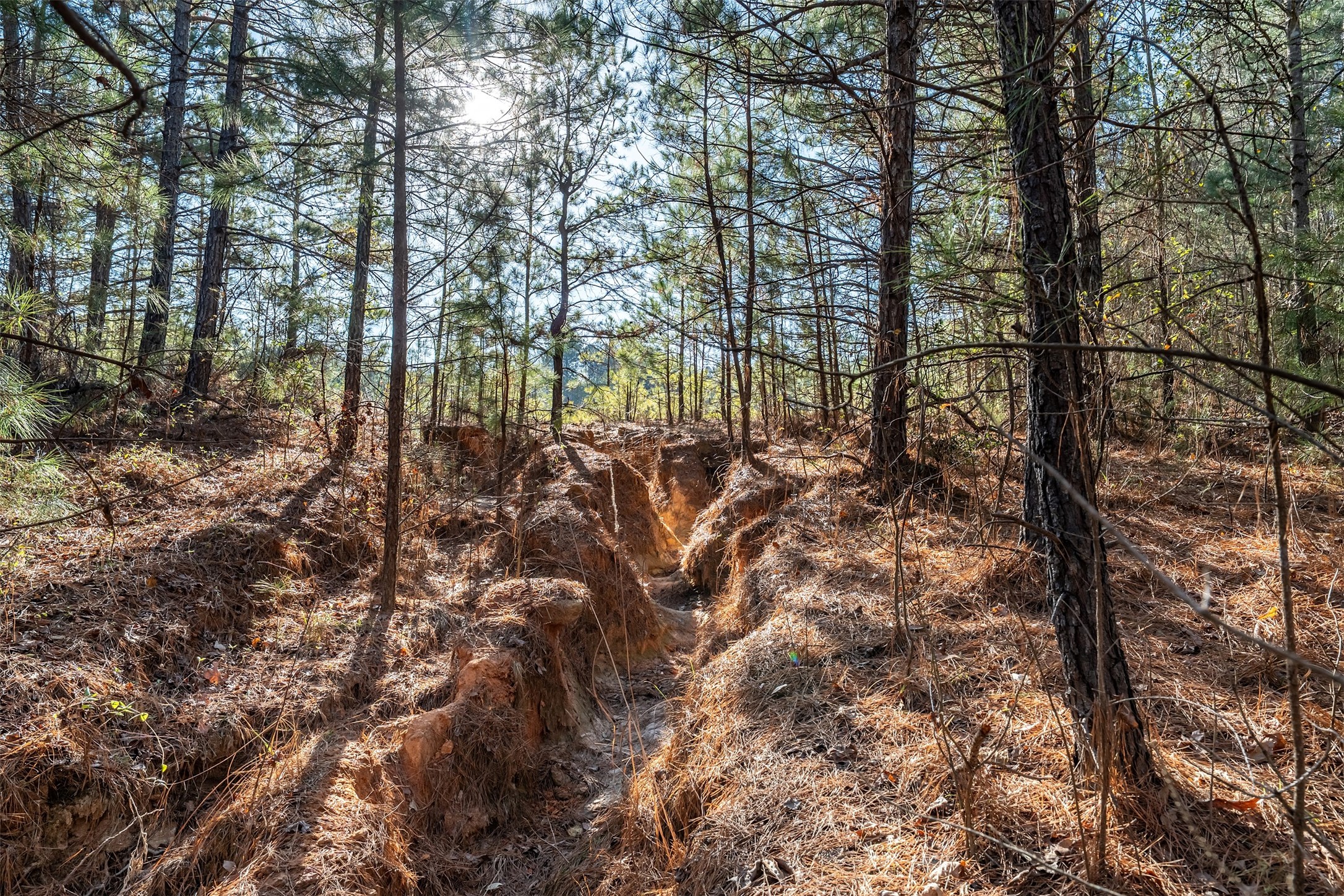 0000 Red Oak Road Marshall TX 75670