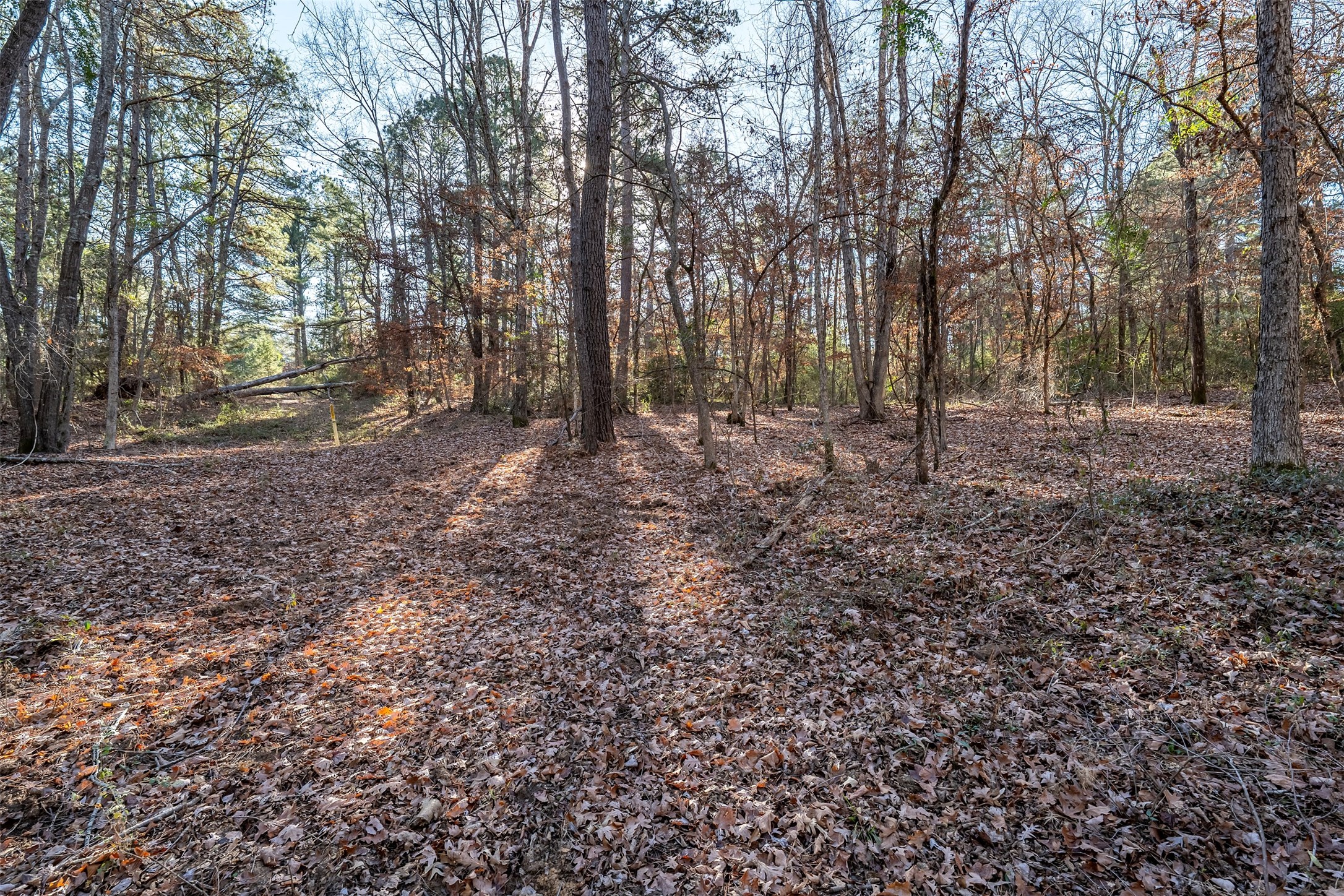 0000 Red Oak Road Marshall TX 75670