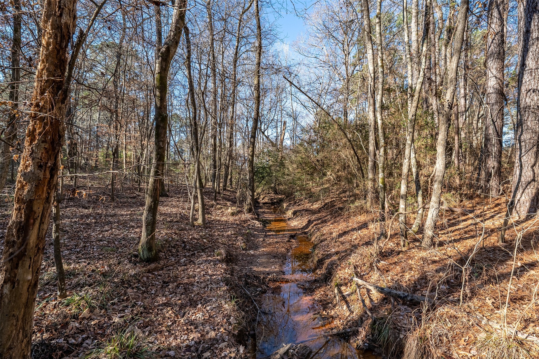 0000 Red Oak Road Marshall TX 75670