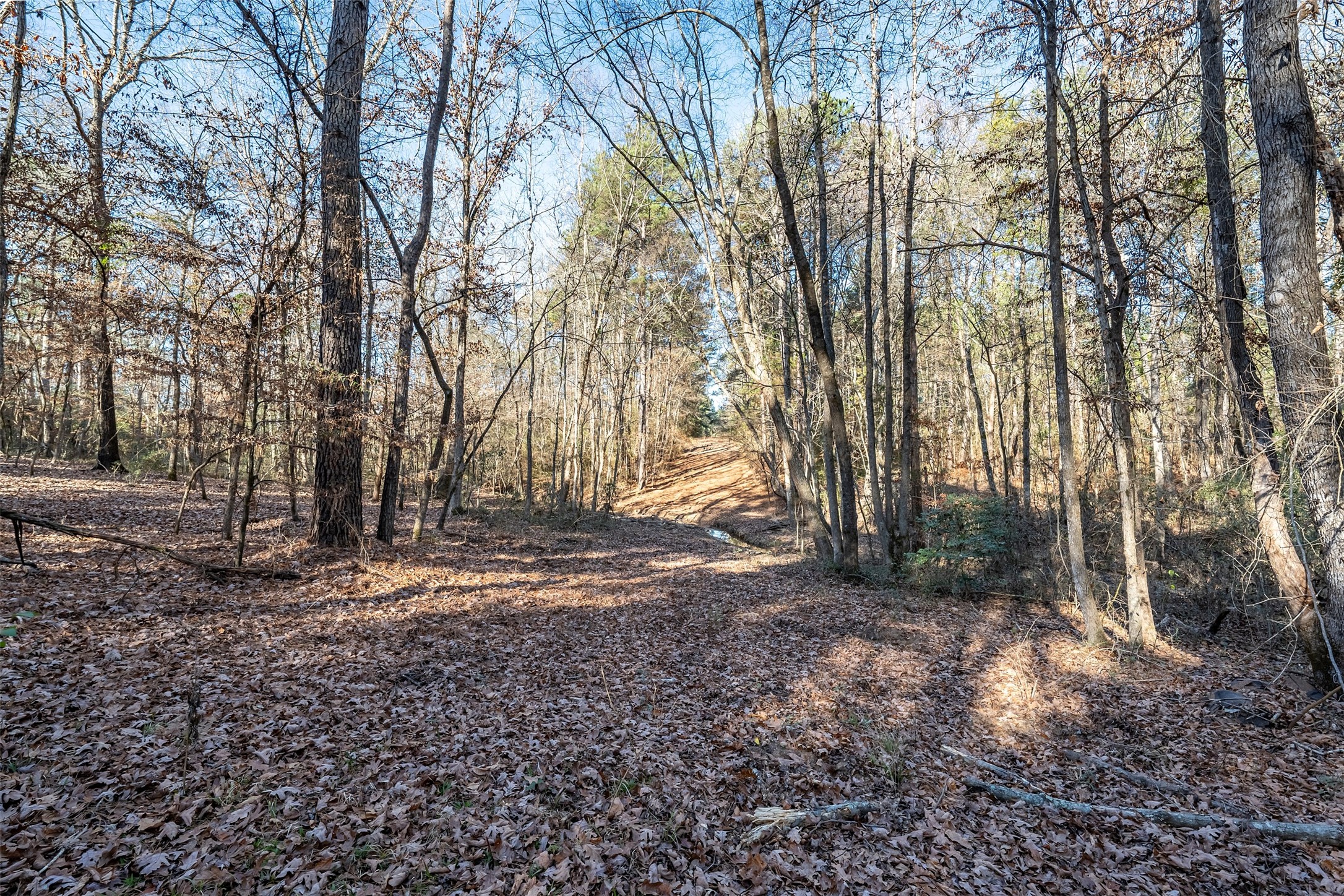 0000 Red Oak Road Marshall TX 75670