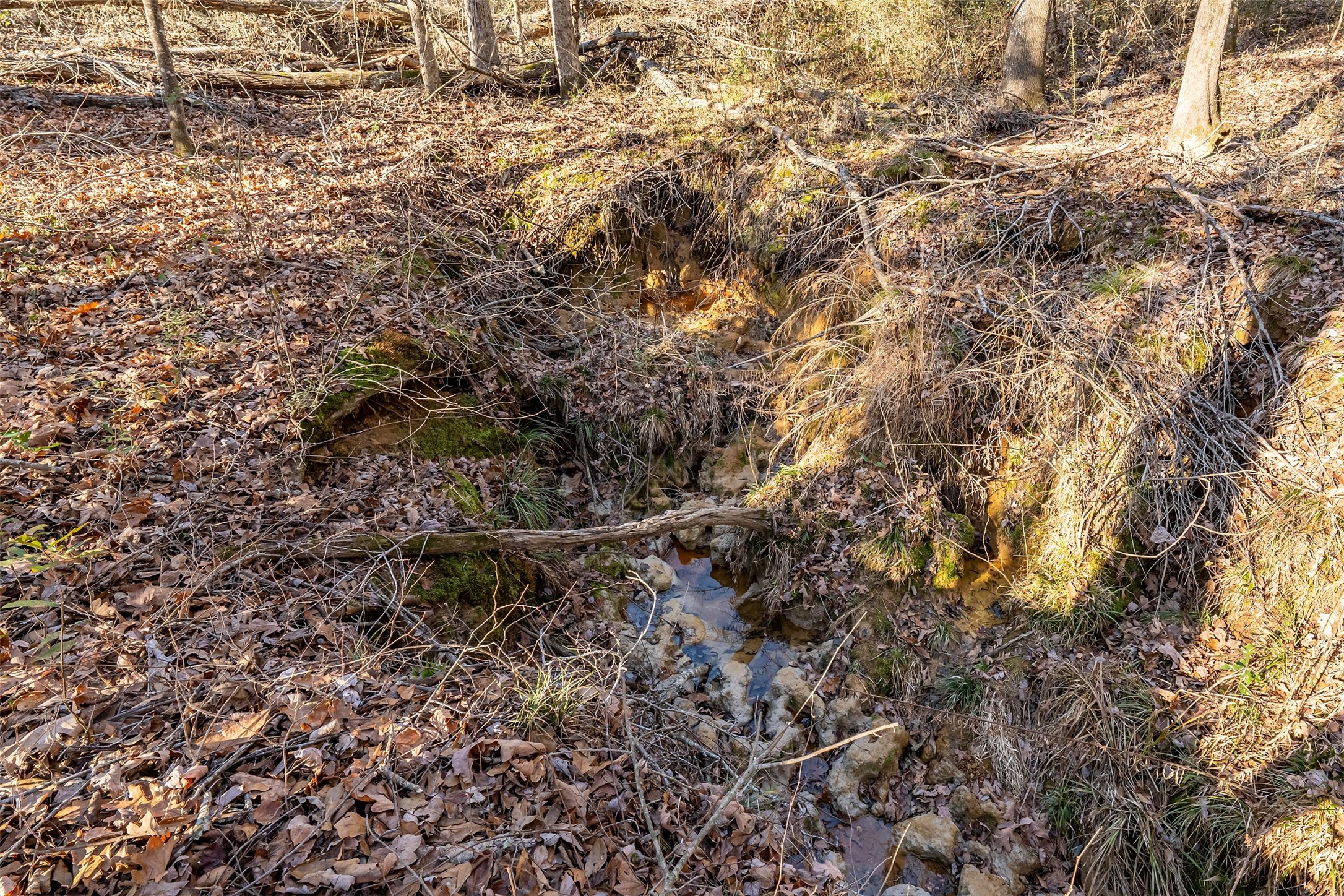 0000 Red Oak Road Marshall TX 75670