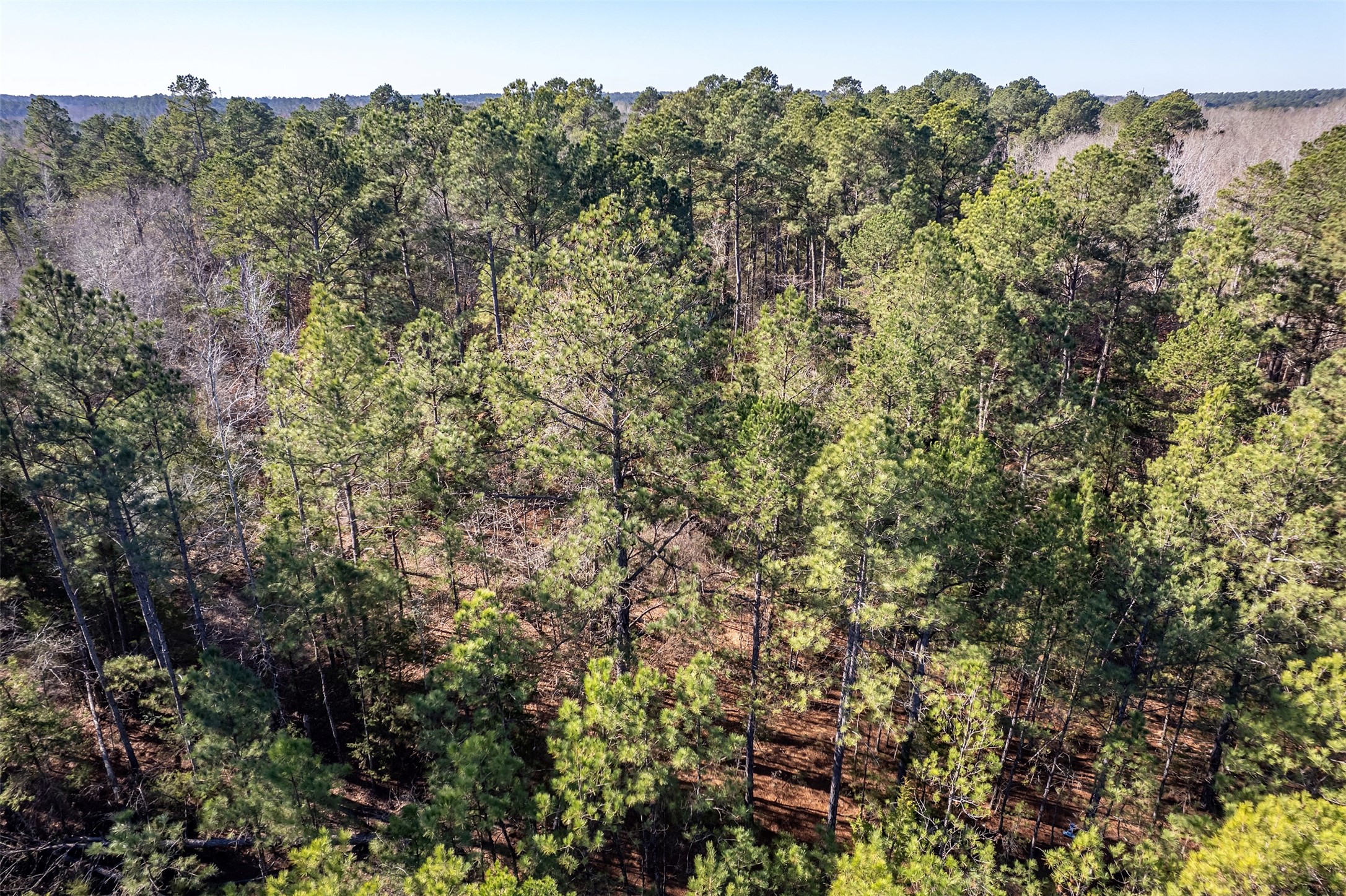 0000 Red Oak Road Marshall TX 75670