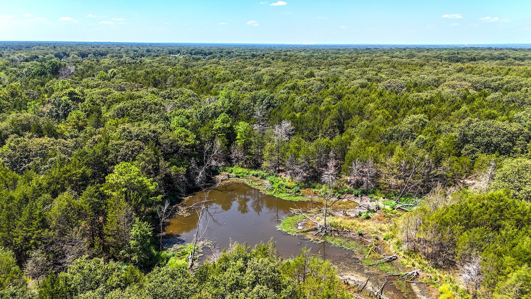 000 Fm-273 Ivanhoe TX 75447
