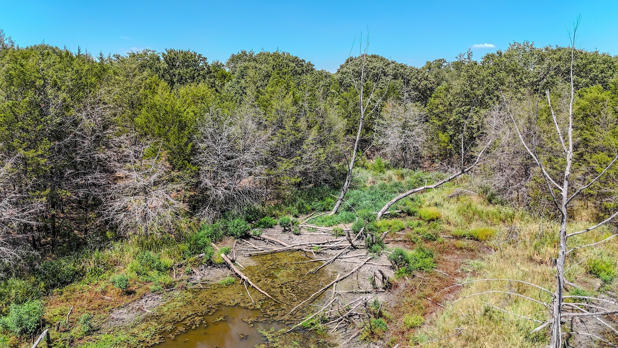 000 Fm-273 Ivanhoe TX 75447