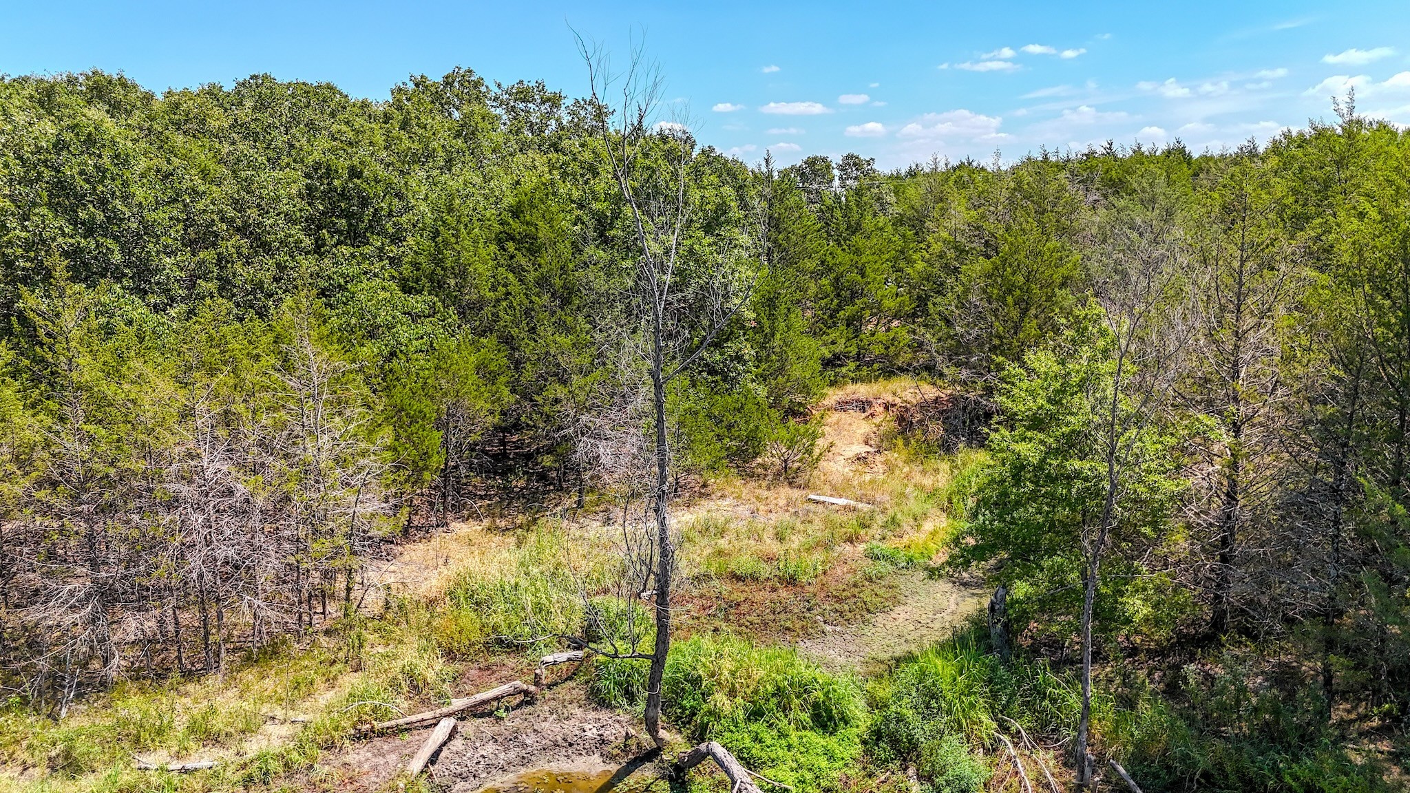 000 Fm-273 Ivanhoe TX 75447