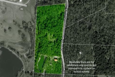 401 Coyote Trail Whitesboro TX 76273