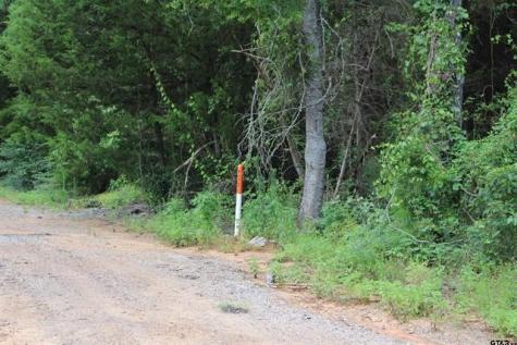 Tbd Loop 456 - 14.73 Acres Jacksonville TX 75766