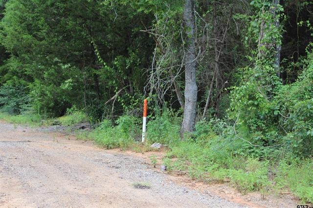 Tbd Loop 456 - 14.73 Acres Jacksonville TX 75766