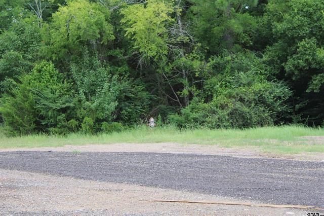 Tbd Loop 456 - 14.73 Acres Jacksonville TX 75766