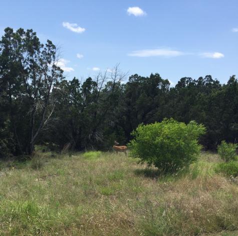 Lot 58 Eastern Hills Drive Graford TX 76449
