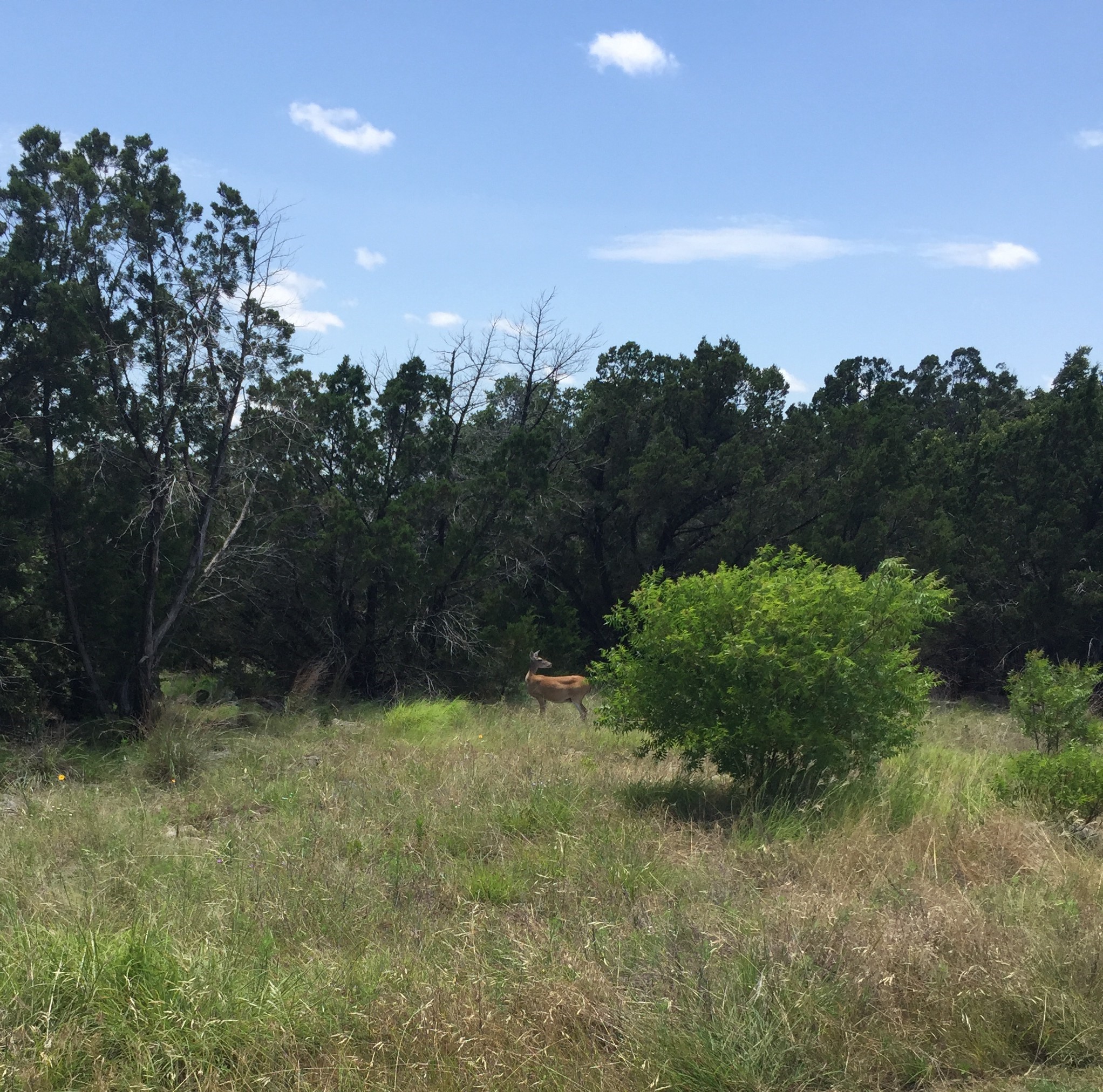 Lot 58 Eastern Hills Drive Graford TX 76449