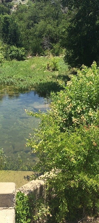 Lot 58 Eastern Hills Drive Graford TX 76449