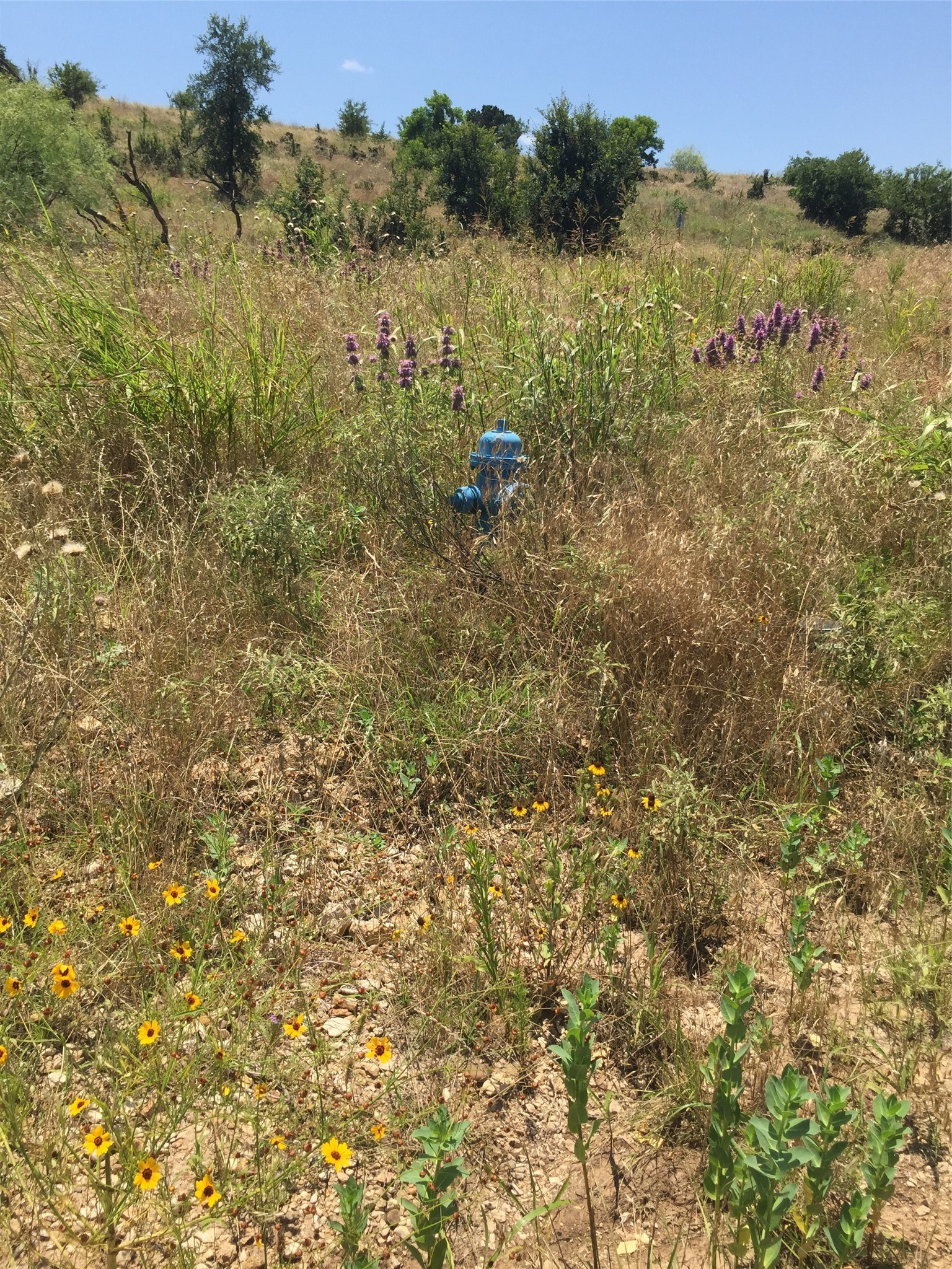 Lot 58 Eastern Hills Drive Graford TX 76449