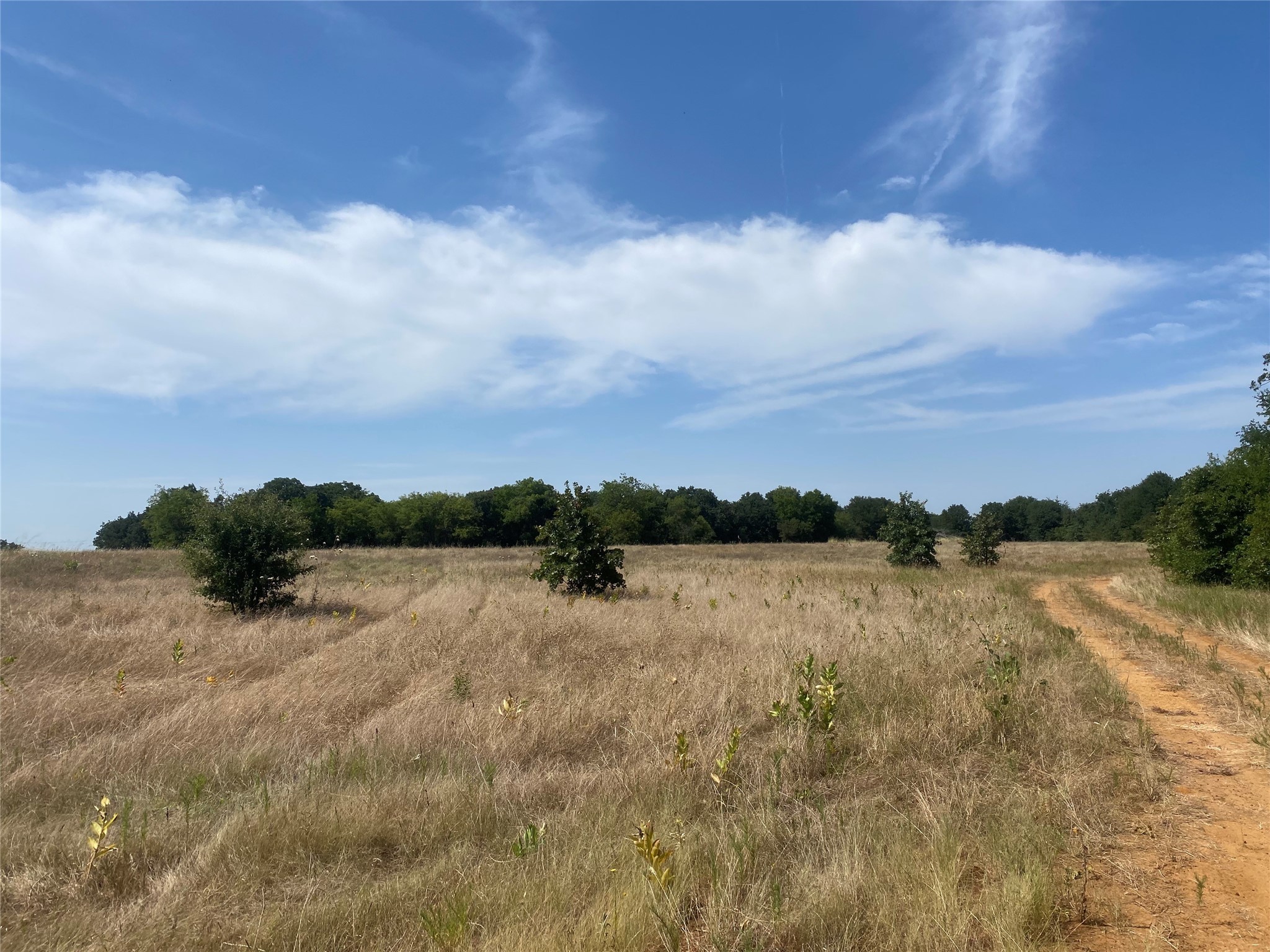 3635 Cr 401 Alvarado TX 76009