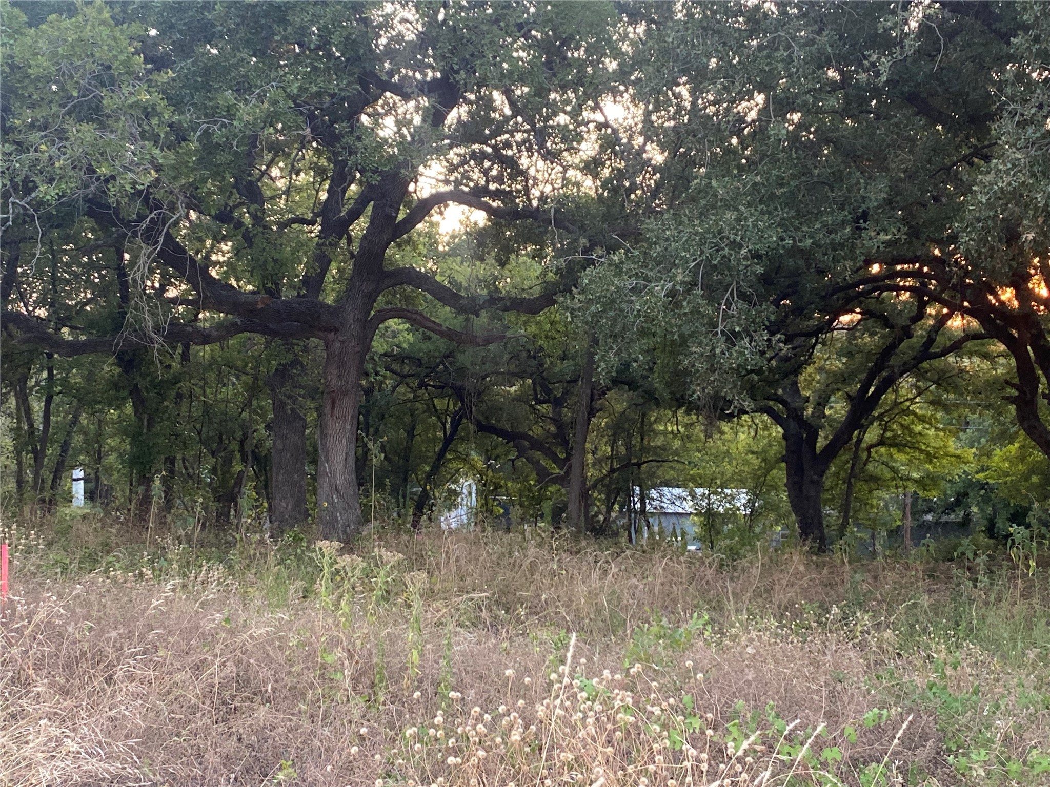3635 Cr 401 Alvarado TX 76009