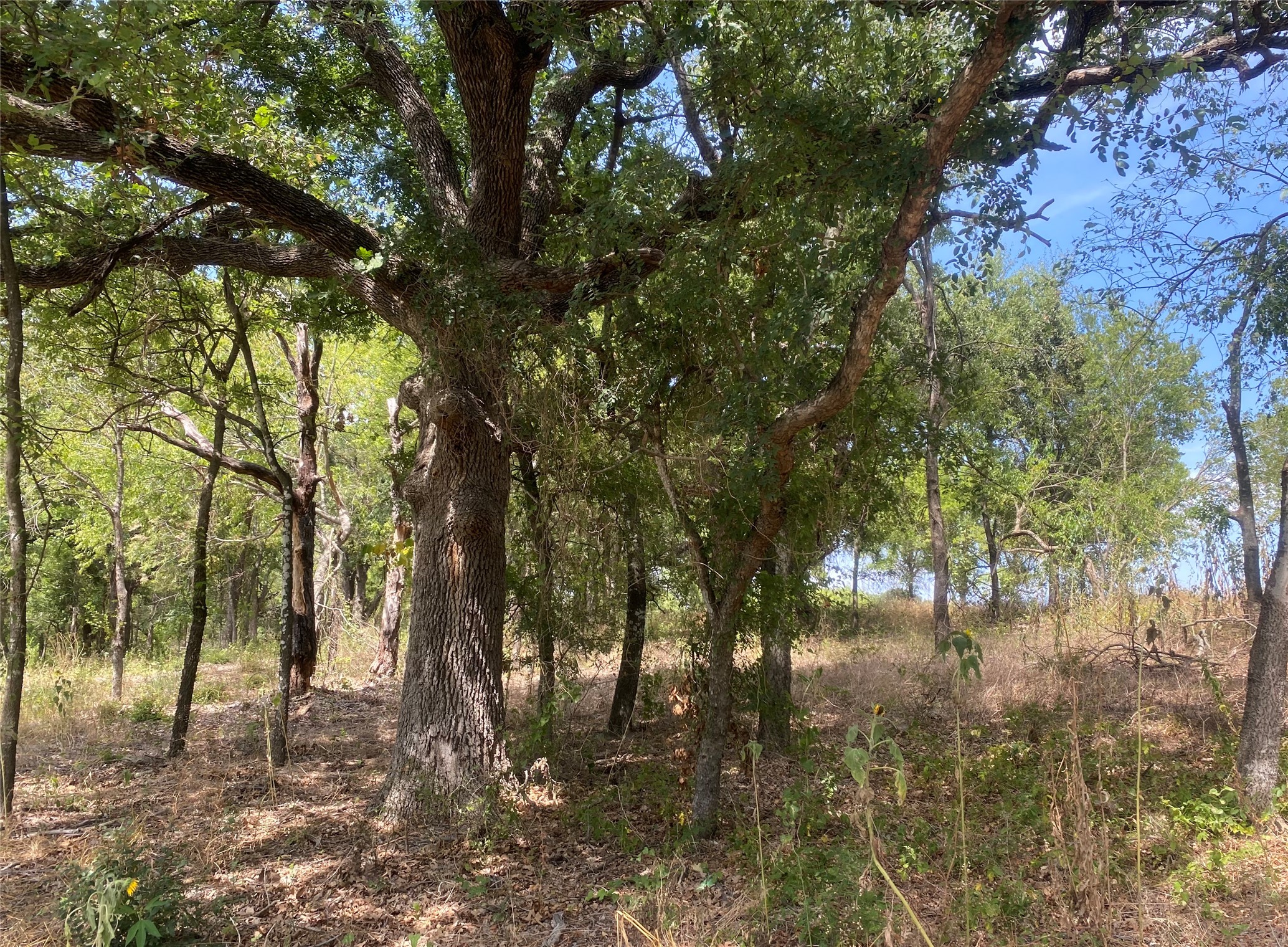 3635 Cr 401 Alvarado TX 76009