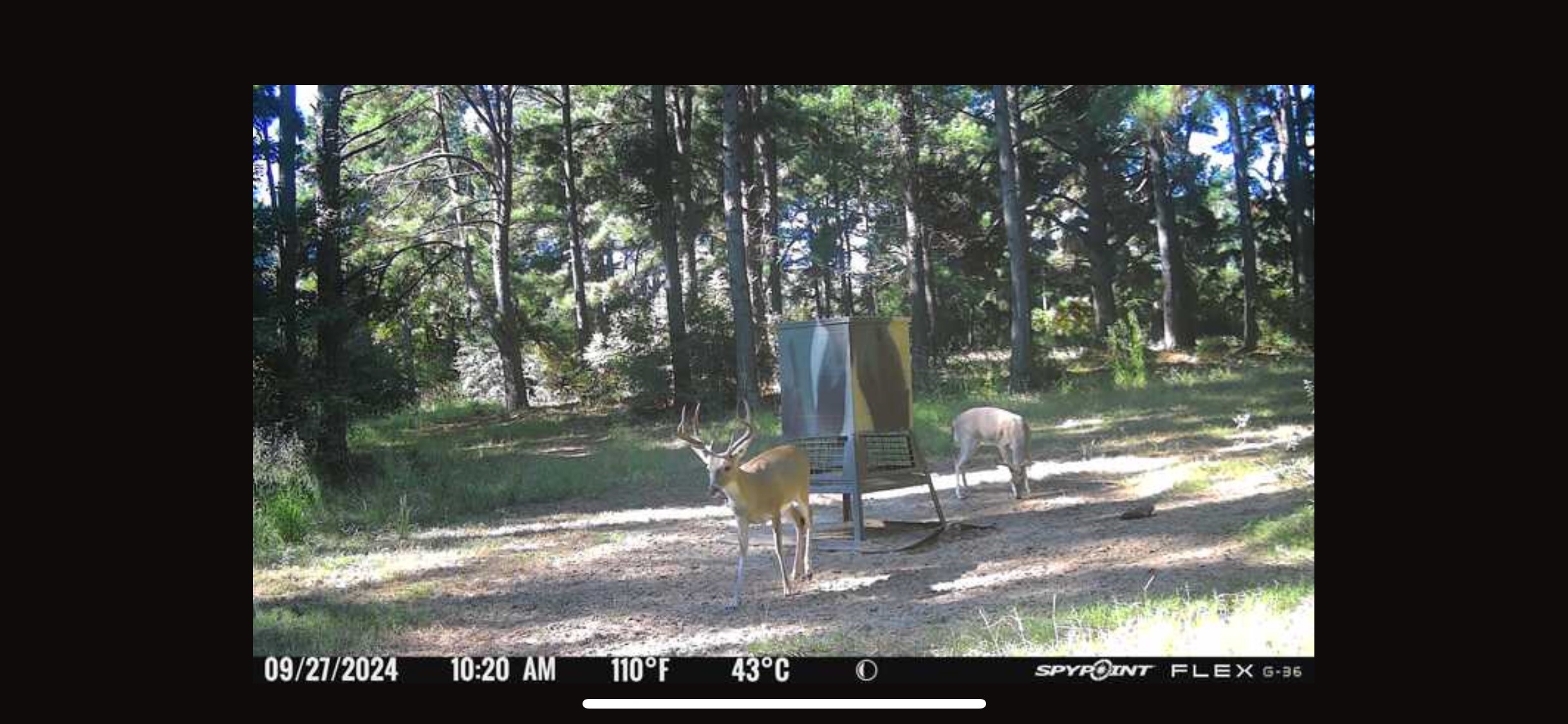 541 Fcr 240 Fairfield TX 75840