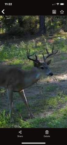 541 Fcr 240 Fairfield TX 75840