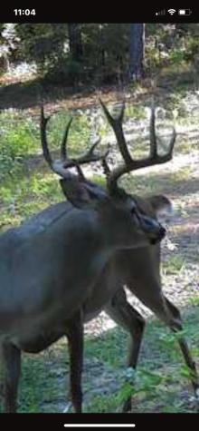 541 Fcr 240 Fairfield TX 75840