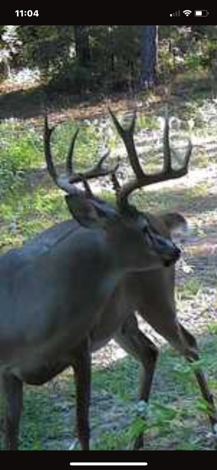 541 Fcr 240 Fairfield TX 75840