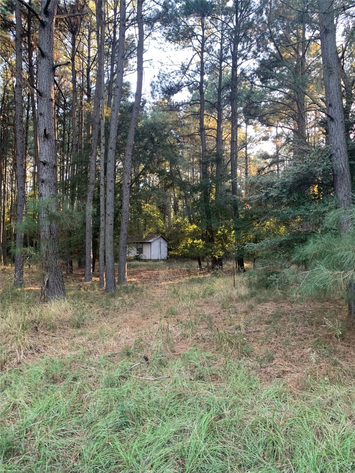 541 Fcr 240 Fairfield TX 75840
