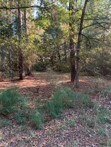 541 Fcr 240 Fairfield TX 75840