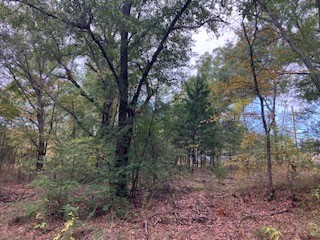 Tbd Lot 16 Westwood Drive Trinidad TX 75163