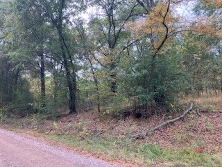 Tbd Lot 16 Westwood Drive Trinidad TX 75163
