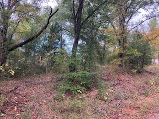 Tbd Lot 16 Westwood Drive Trinidad TX 75163