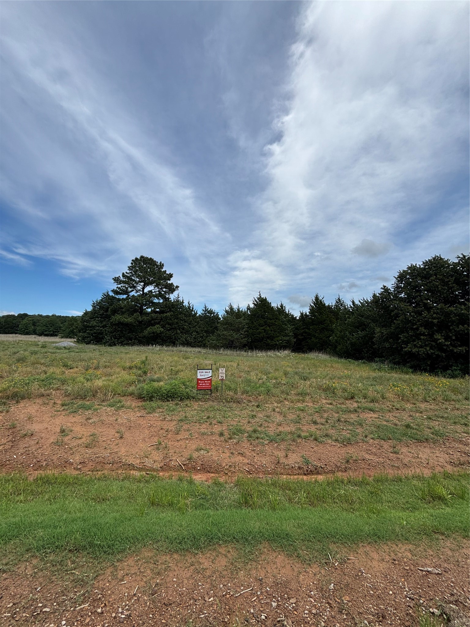 Lot 42 White Tail Way Road Pottsboro TX 75076