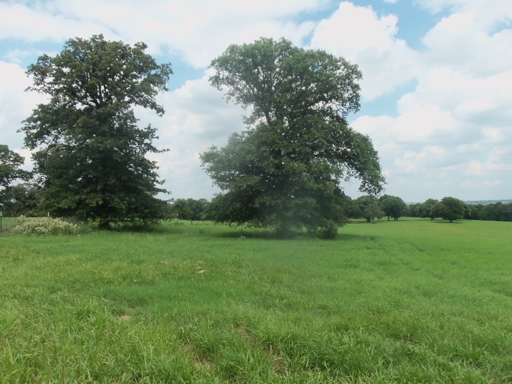 800 County Road 2535 Decatur TX 76234