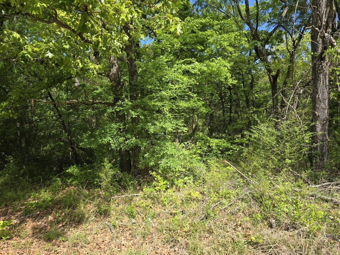 Lot 699 Shady Grove Road Gun Barrel City TX 75156