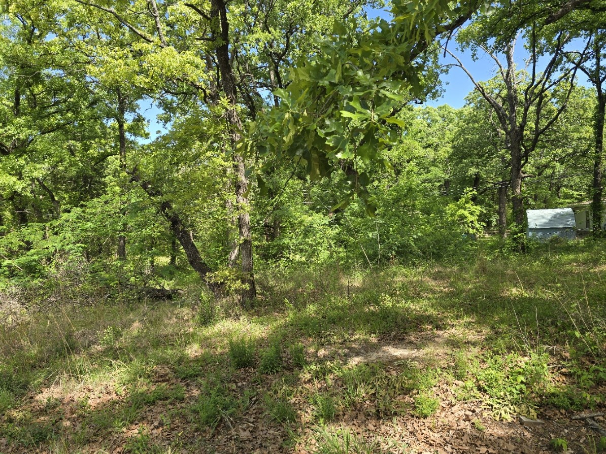 Lot 699 Shady Grove Road Gun Barrel City TX 75156