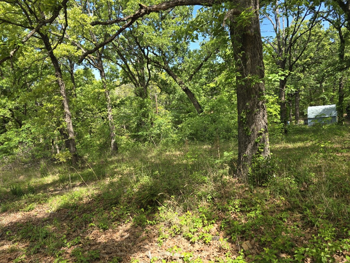 Lot 699 Shady Grove Road Gun Barrel City TX 75156
