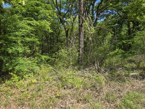 Lot 699 Shady Grove Road Gun Barrel City TX 75156