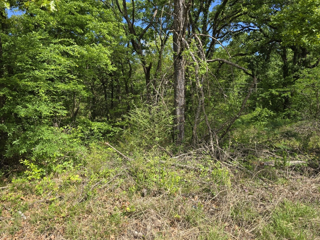 Lot 699 Shady Grove Road Gun Barrel City TX 75156